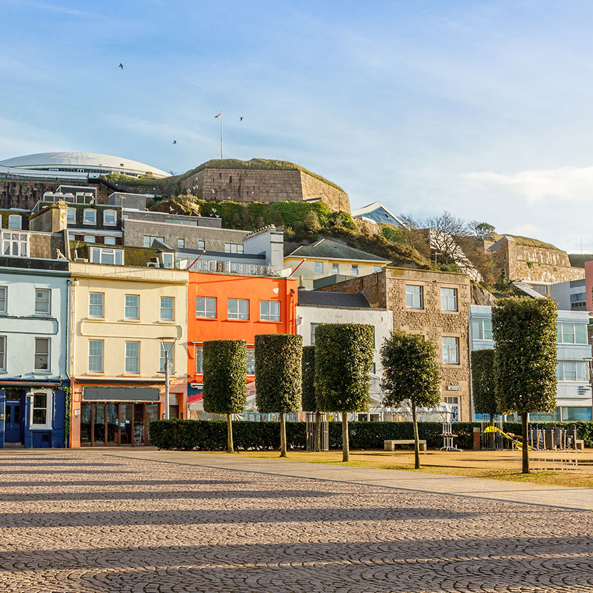 Renedy Grand (UK) Jersey